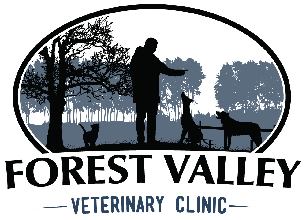 About Us Echo Hollow Veterinary Hospital And Urgent Care